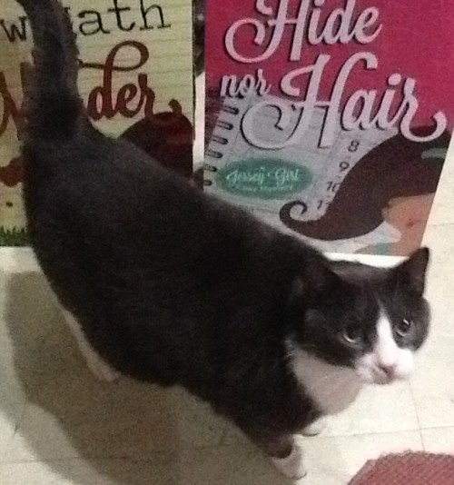 Dust Man and Colleen